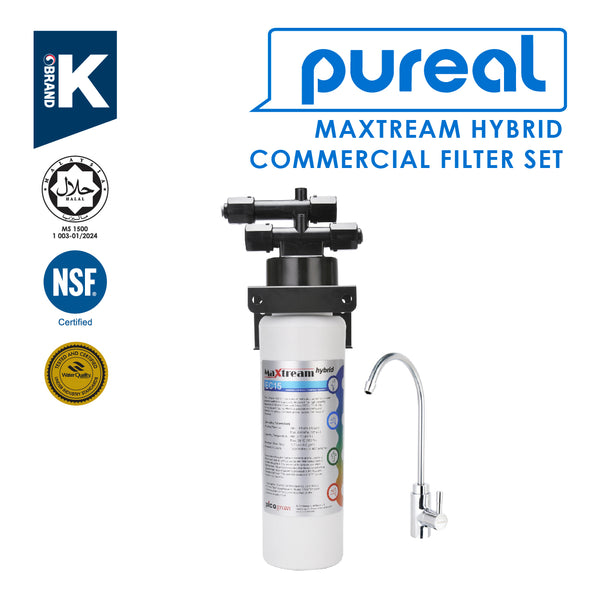 Pureal Maxtream Hybrid Commercial Filter — 1-Year Capacity Set